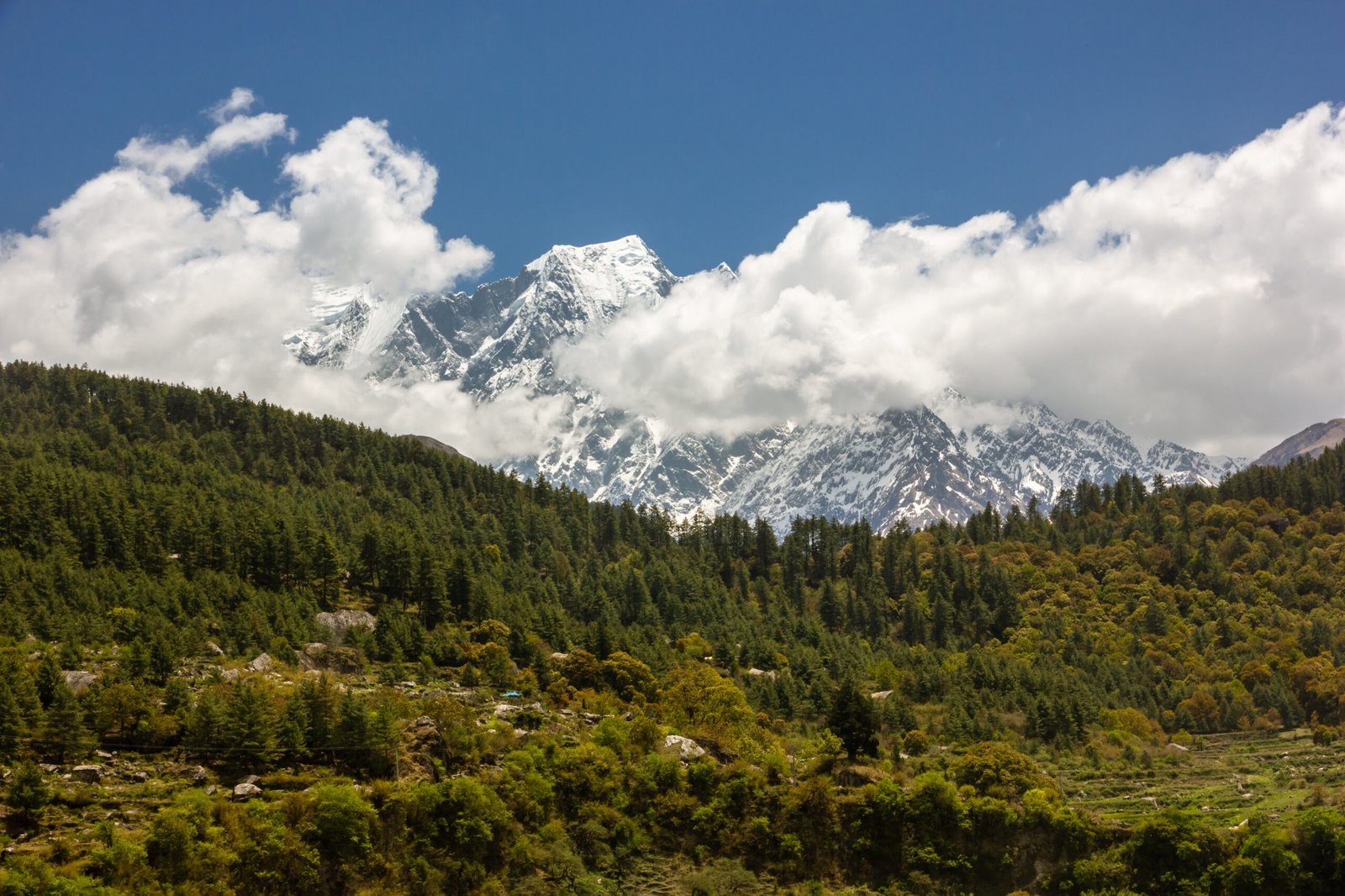 Explore Stories, Tips & Hidden Destinations
